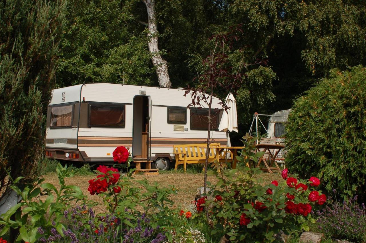 Camping Rogowo Мжежино Екстериор снимка