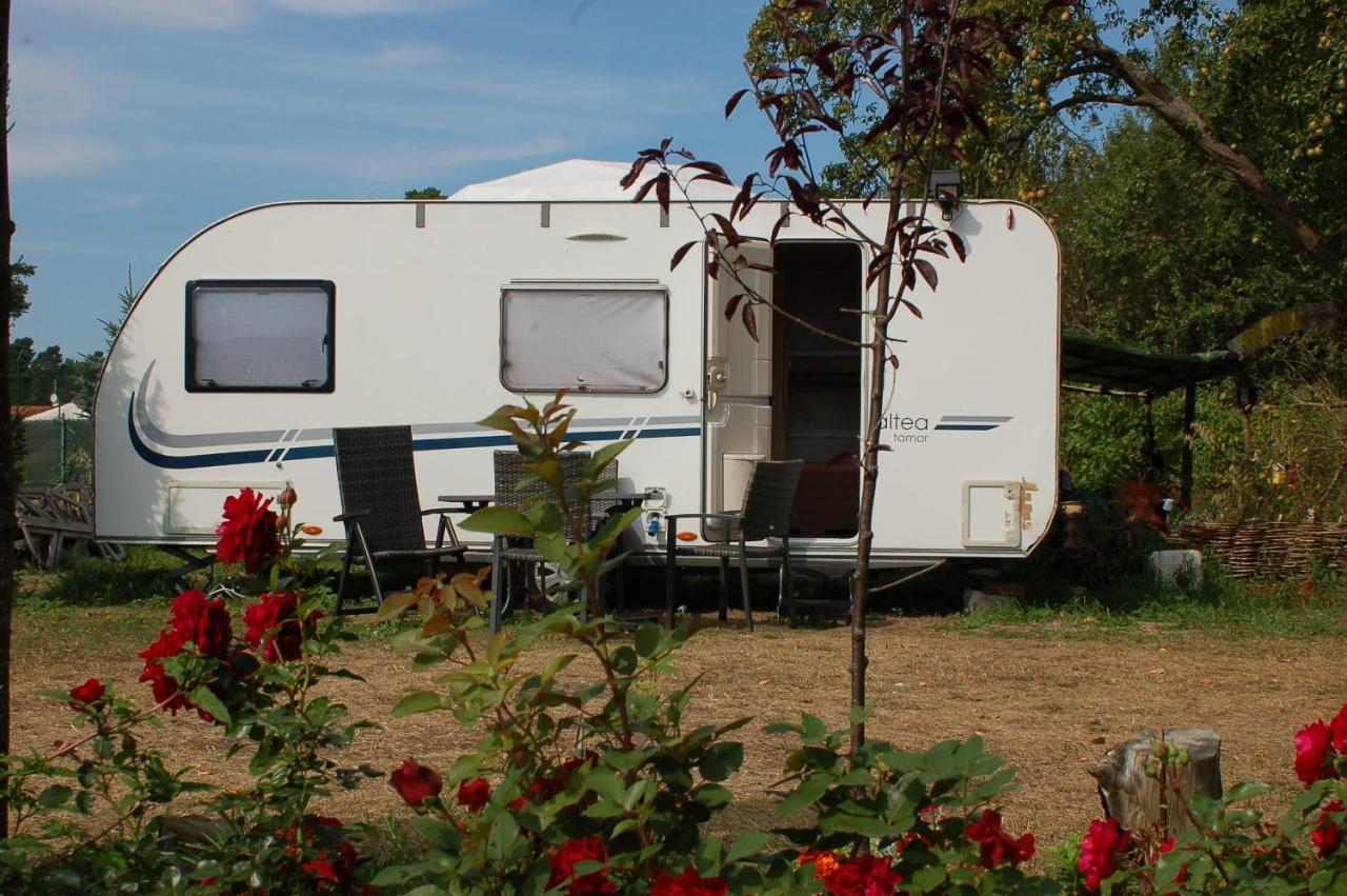 Camping Rogowo Мжежино Екстериор снимка
