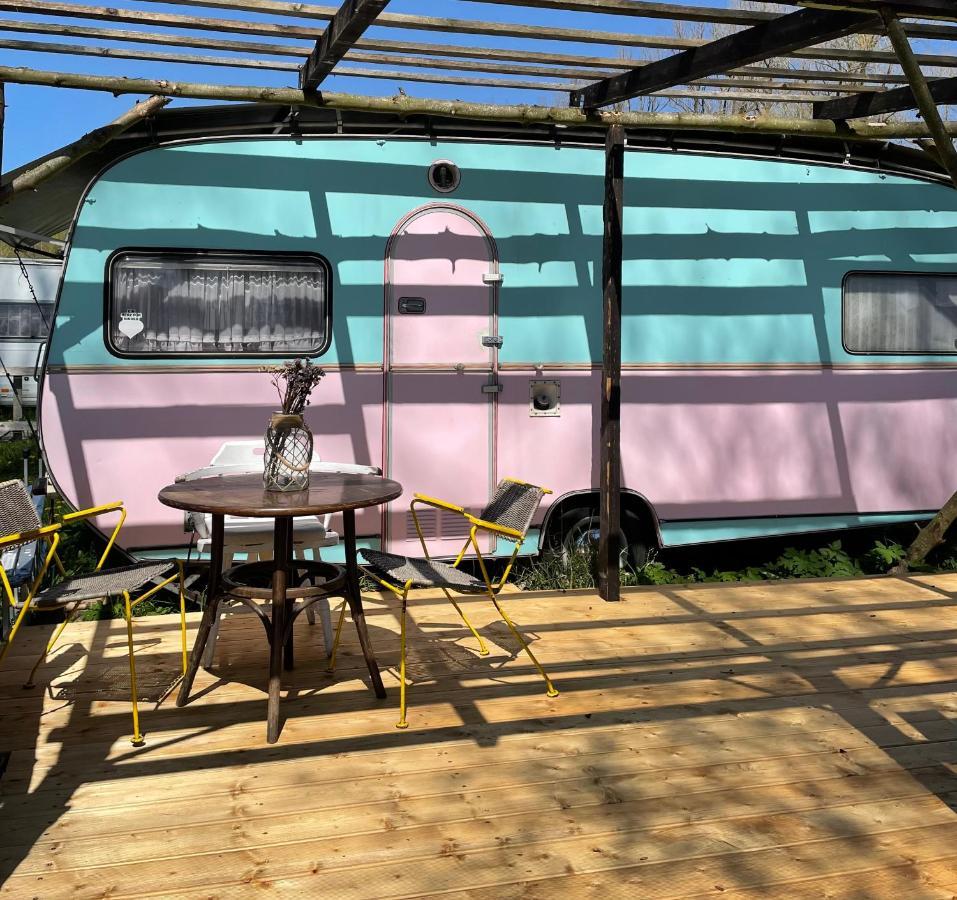 Camping Rogowo Мжежино Екстериор снимка