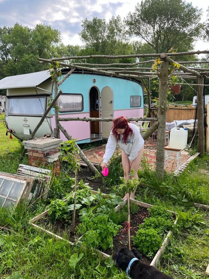 Camping Rogowo Мжежино Екстериор снимка