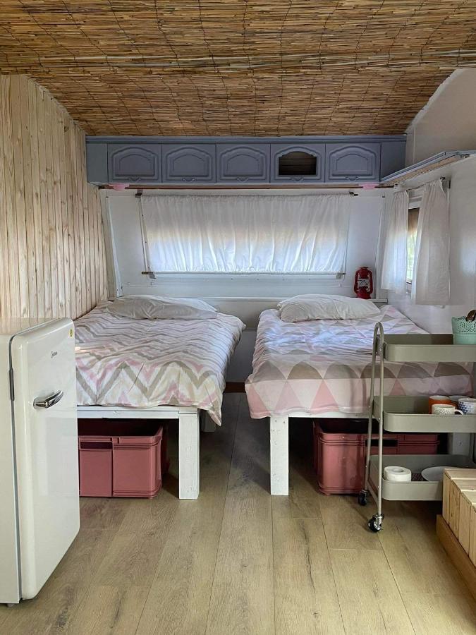 Camping Rogowo Мжежино Екстериор снимка