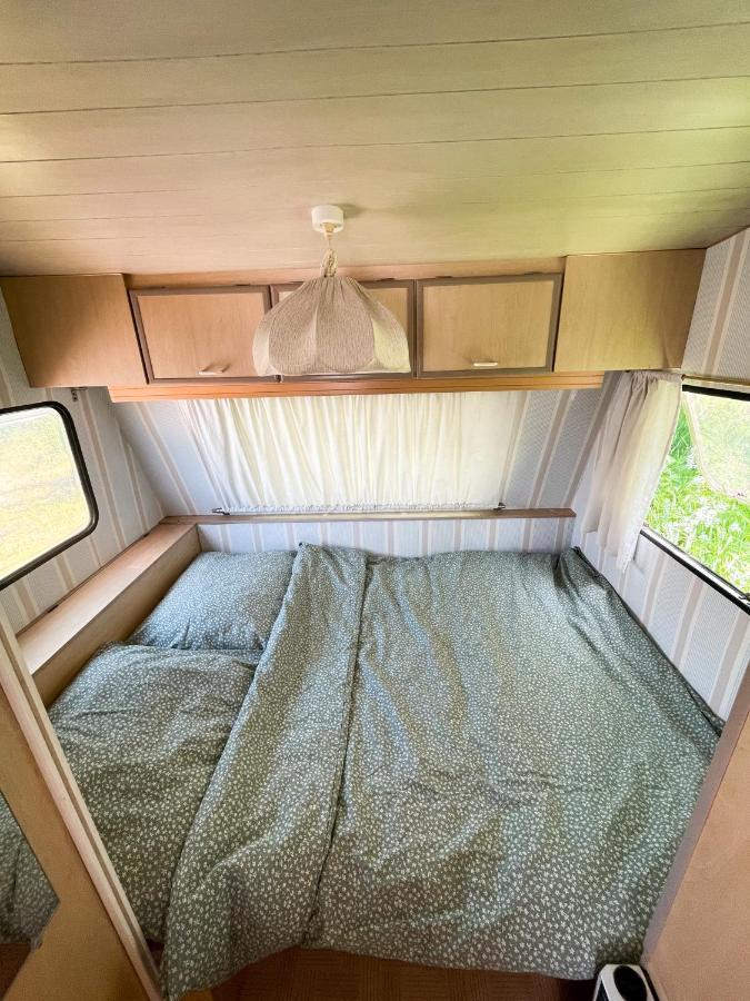 Camping Rogowo Мжежино Екстериор снимка