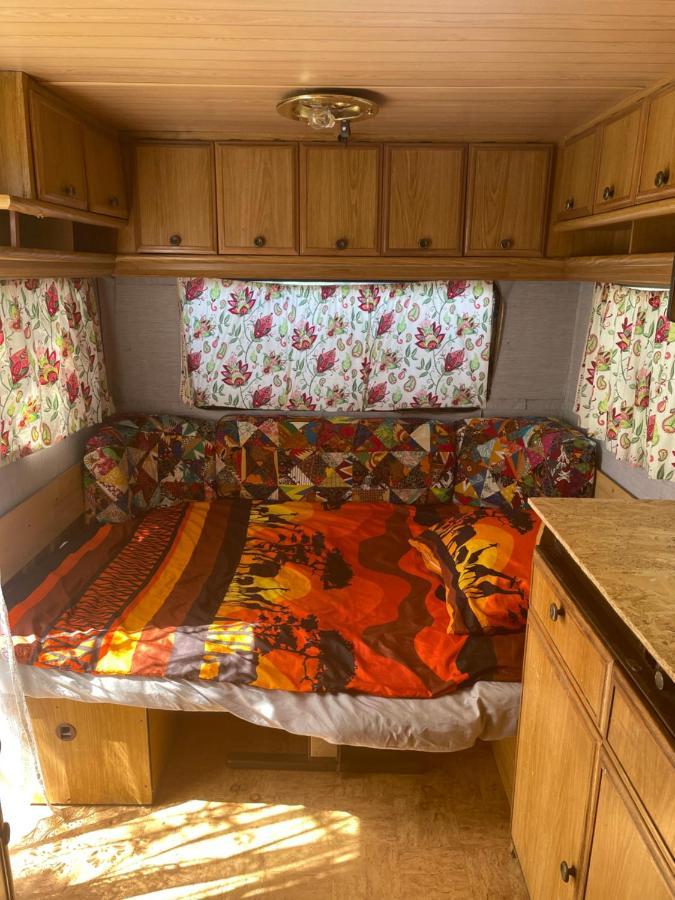 Camping Rogowo Мжежино Екстериор снимка