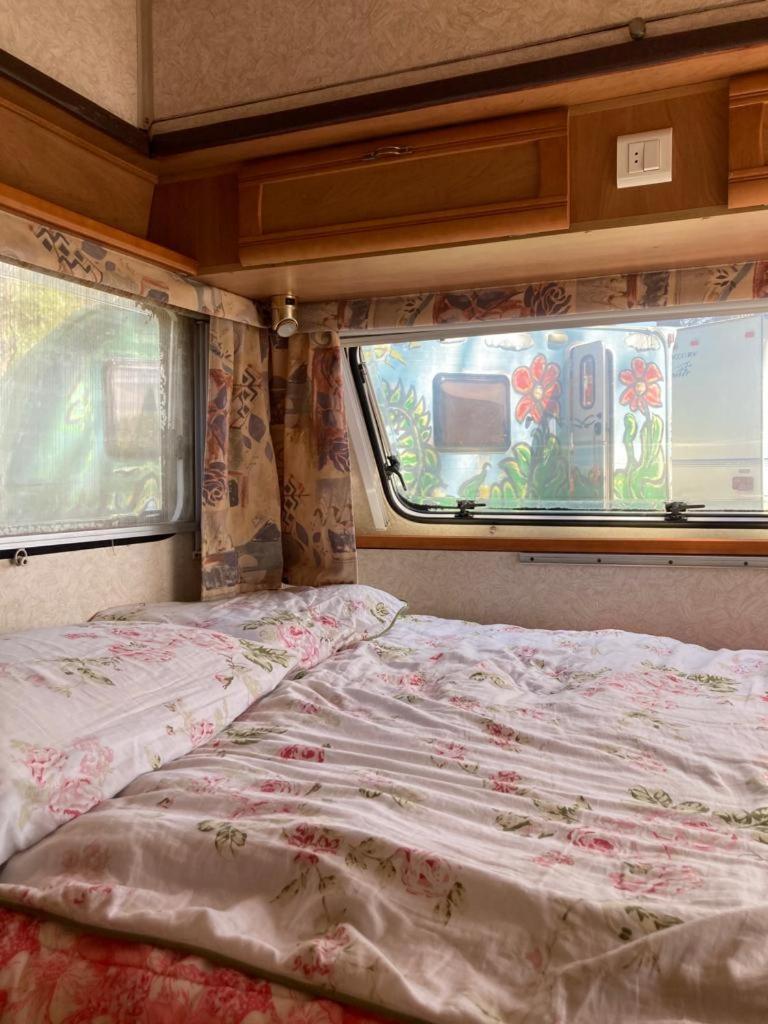Camping Rogowo Мжежино Стая снимка